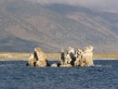Mono Lake