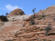 Zion NP